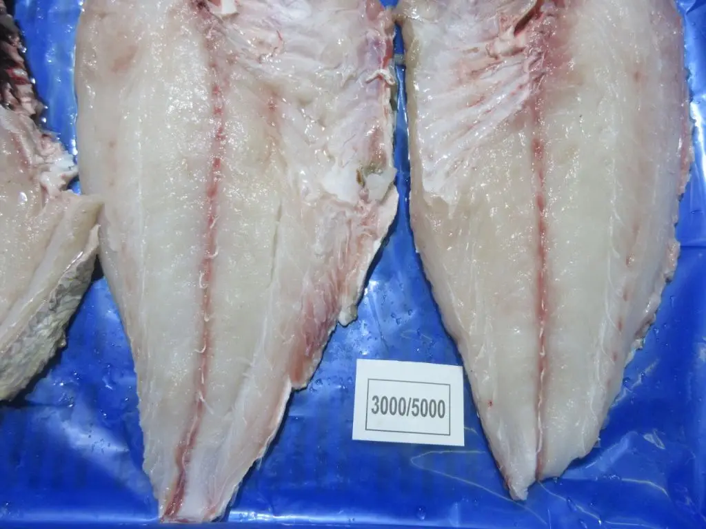 FROZEN EMPEROR FISH IQF