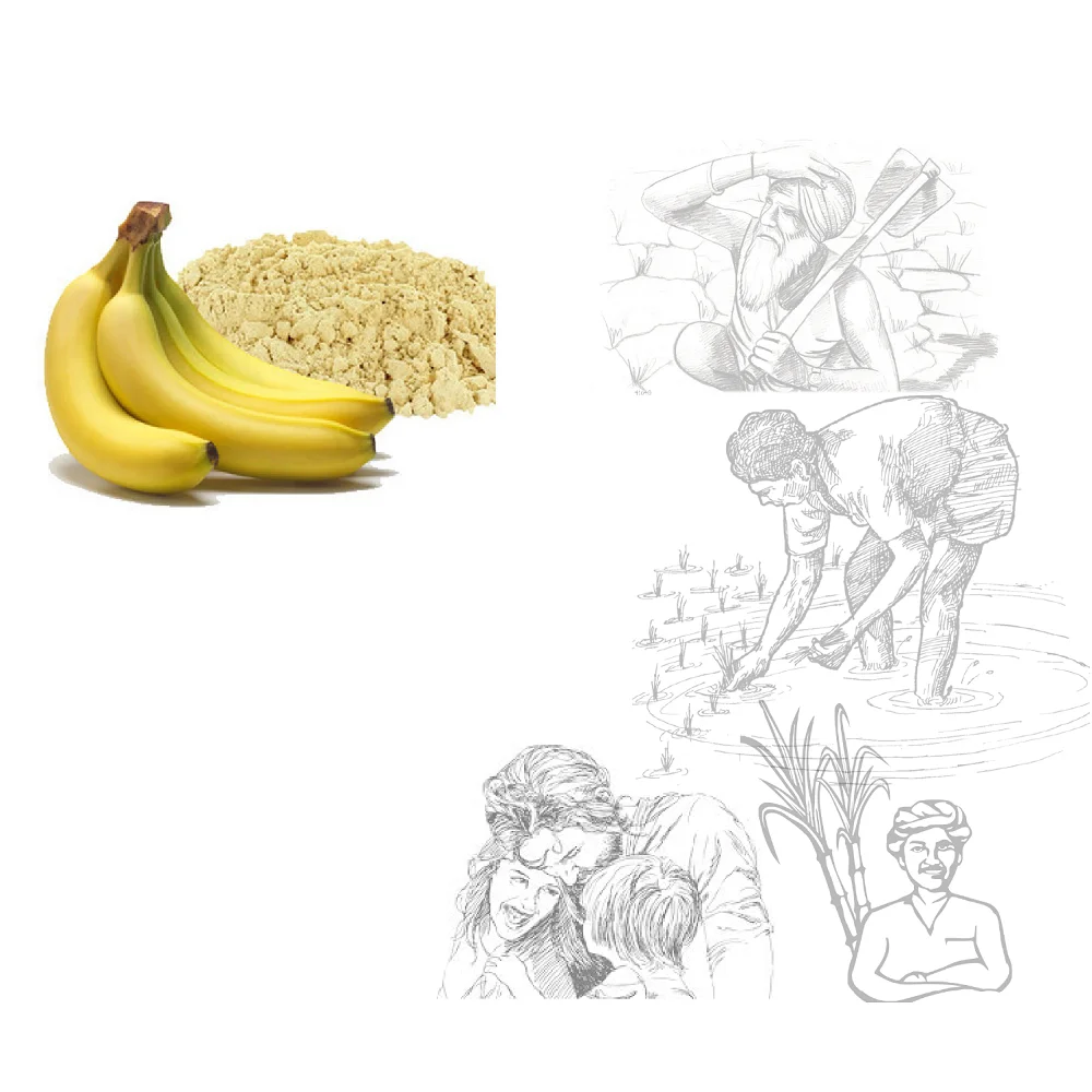 Organic Banana Powder