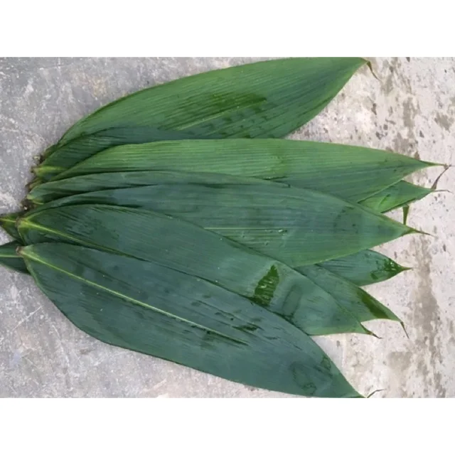 BAMBOO FENCE / BAMBOO TRELLIS FROM VIET NAM WITH BEST PRICE - HOT SALE FROM NAVALO - 2023 - INDOOR FURNITURE