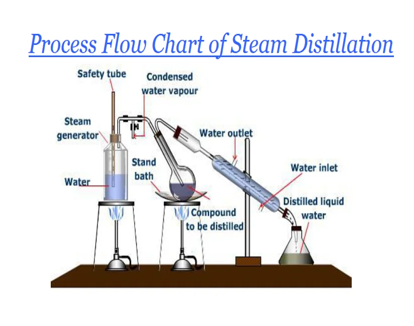 Certified Cedarwood Essential Oil 100% Pure and Natural at low price By Indian Manufacturer and Suppler