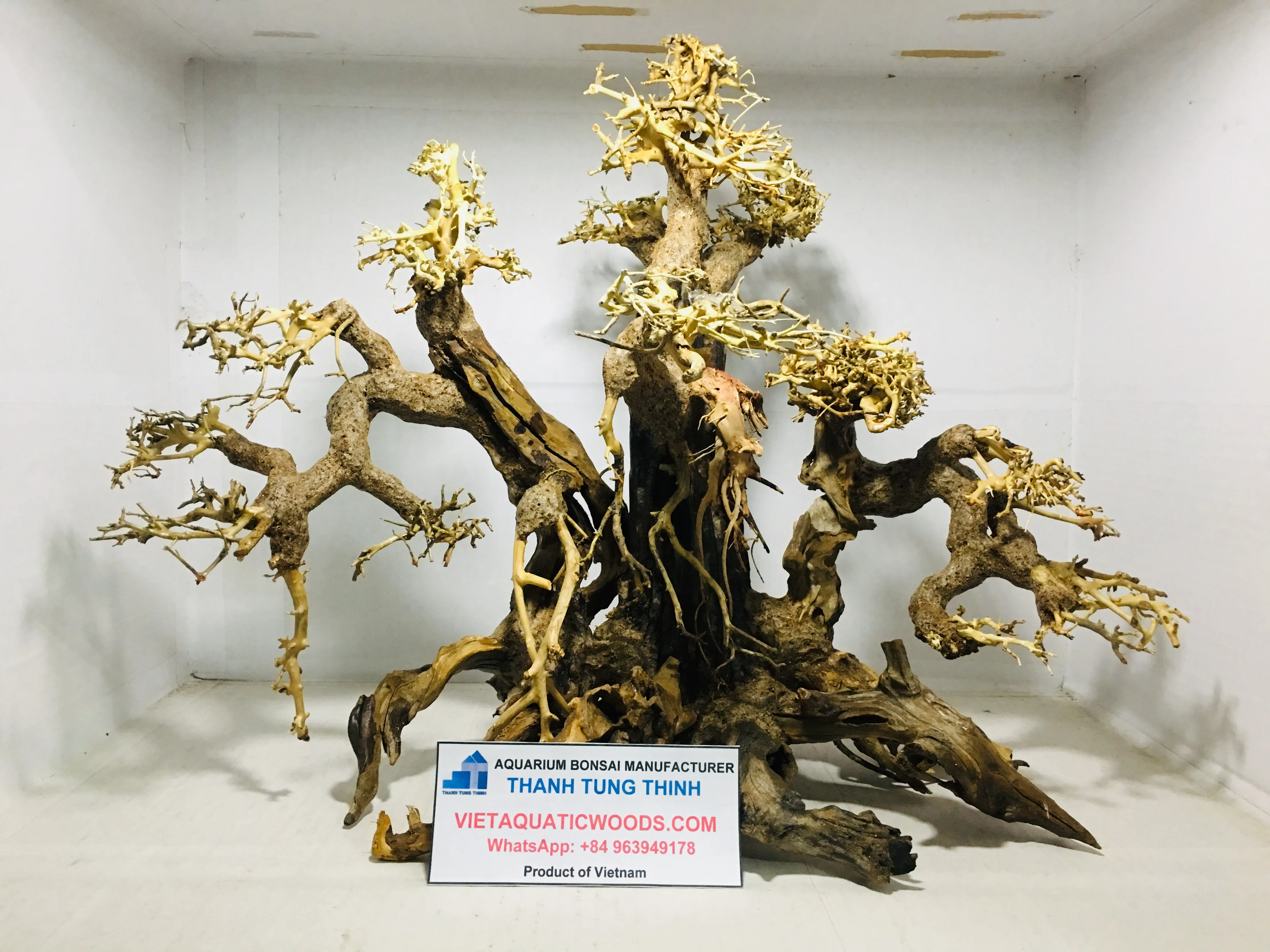 2024 трендовые новинки оптом бонсай коряги для украшения аквариума WhatsApp + 84 961005832