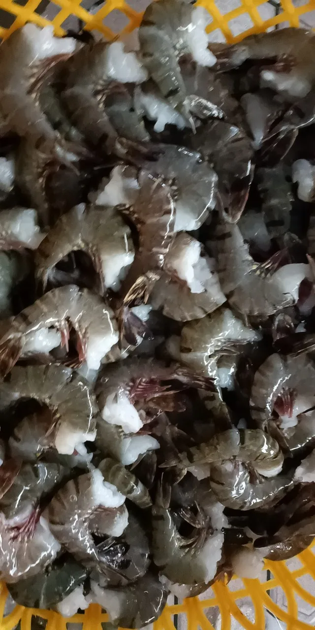 Best quality Vannamei Shrimp HLSO, Headless, Shell On Cheap Frozen Seafood made in Vietnam Shrimp on sale