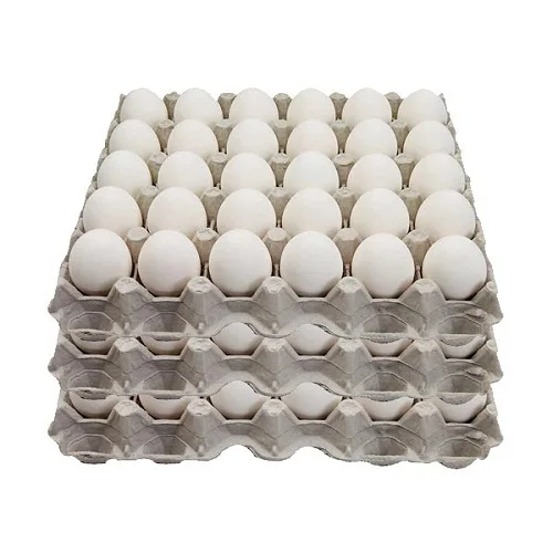 High Quality Wholesale Fertile Hatching Chicken Egg/