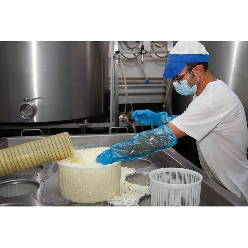 High Quality Made in Italy Caciottella semi-hard cheese with truffle 6kg vacuum pack Ready for export