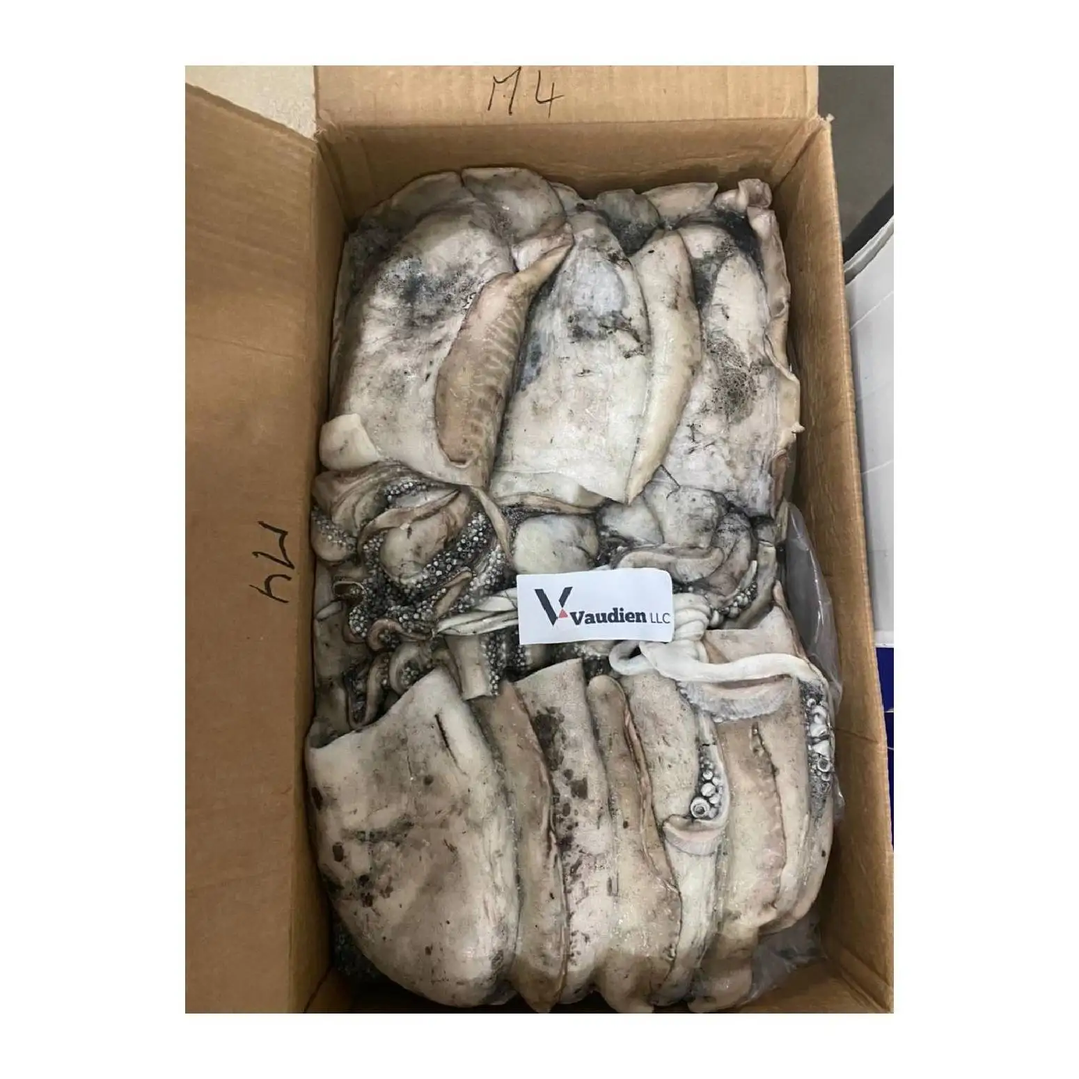 
Sepiida Seiches Top Selling Nutritional Benefits Frozen Tasty Cuttlefish Top Grade Fresh 