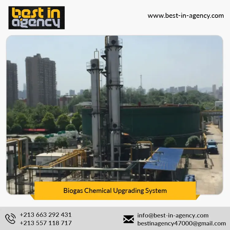 Biological CH4 Content 97% Chemical Type Food-Waste Treatment Upgrading System to Natural Gas