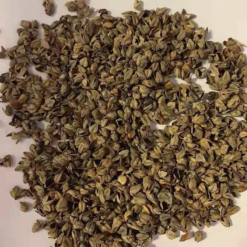  Гречневая шелуха qiaomaike Fagopyrum tataricum для продажи