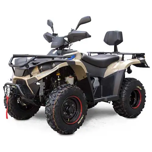 Внедорожник для взрослых 4x4 багги 1000CC внедорожник atv/utv