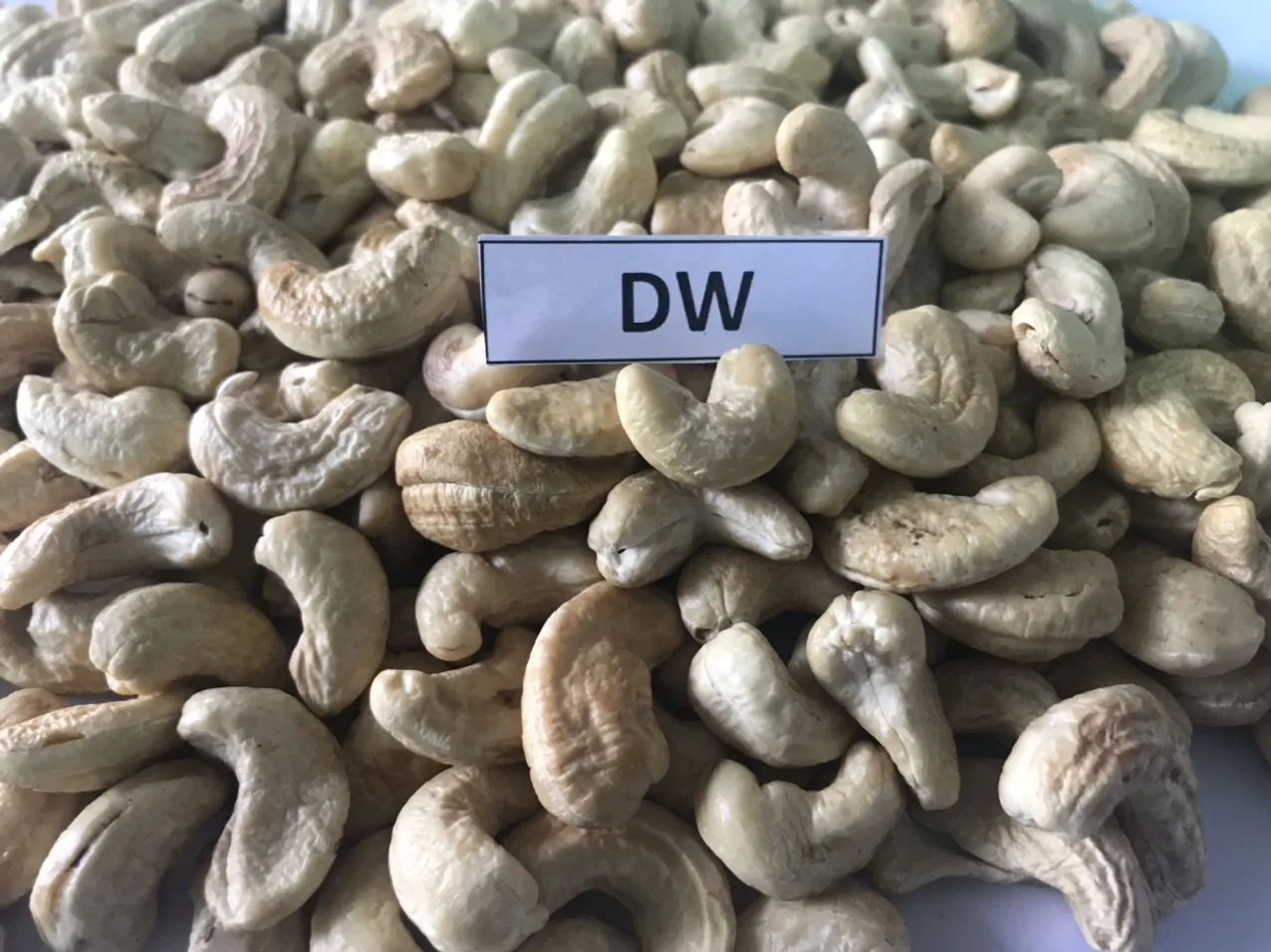 Best PRICE !!! Quality Cashew Nuts Cashew W180- W240- W320- W450 - WS - LP Cashew without Shell