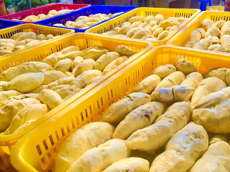 Hot Sale IQF Frozen Fruits - Frozen Durian Flesh From Vietnam