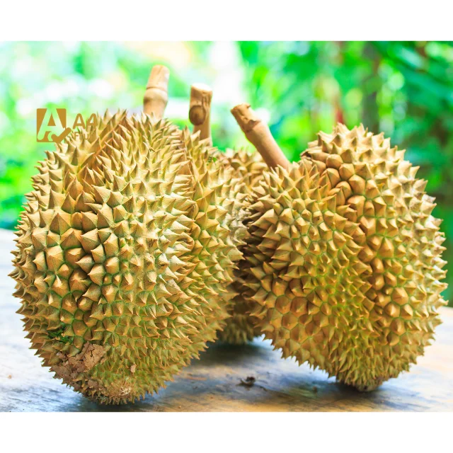 Fresh Cut Durian Fruits for  from Thailand Quality Tropical Style GAP Weight Origin Type Size Grade Product