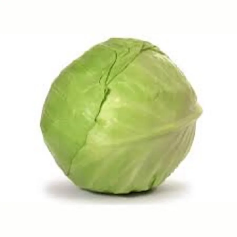 
High quality Fresh Cabbage for sale 