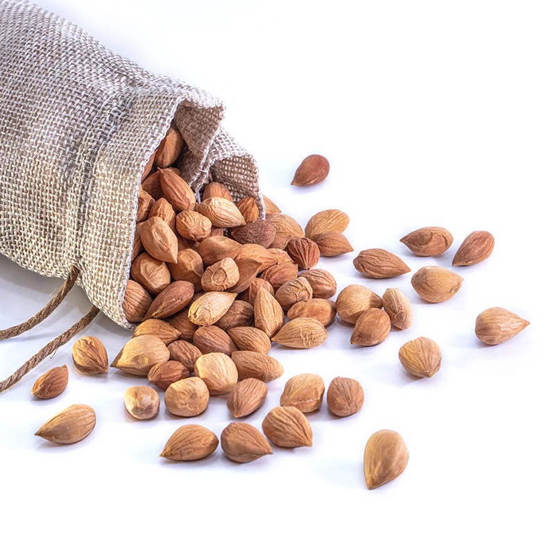 Apricot Kernel5.jpg