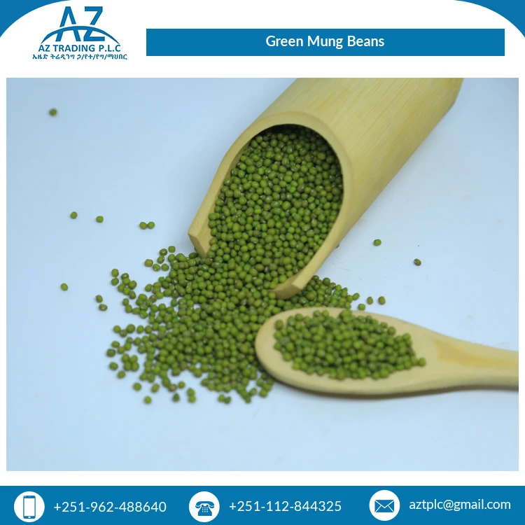 Premium Quality Wholesale Supply Best Selling Natural Fresh Ethiopian Green Mug Beans at Best Price