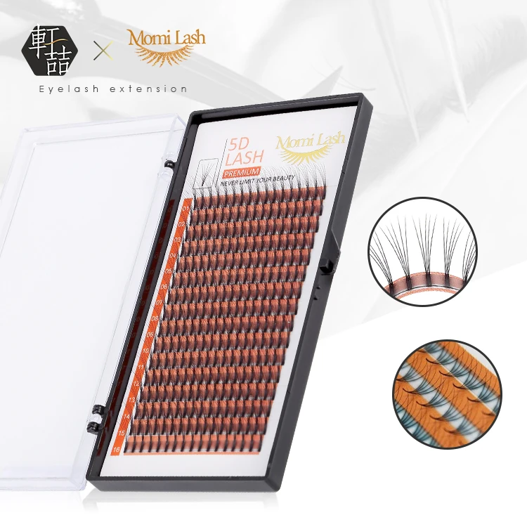 New Private Label 5D Premade Fans Lashes Vietnam Volume Eyelashes