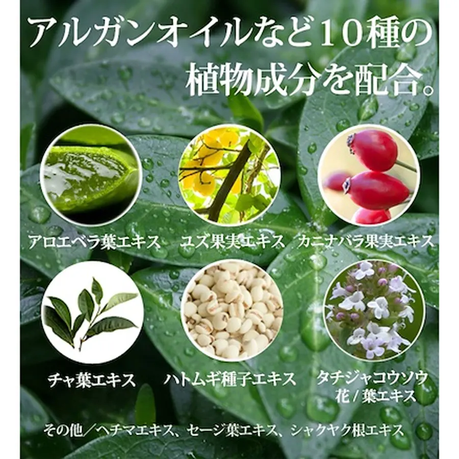 PROSTAGE Botanical 3 in 1 Moisturizing Lotion for Men 300mL