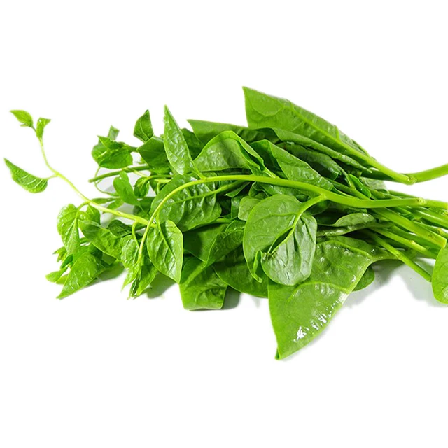 Fresh Malabar Spinach / Fresh vegetable from Vietnam / Fast delivery and carefully packaged