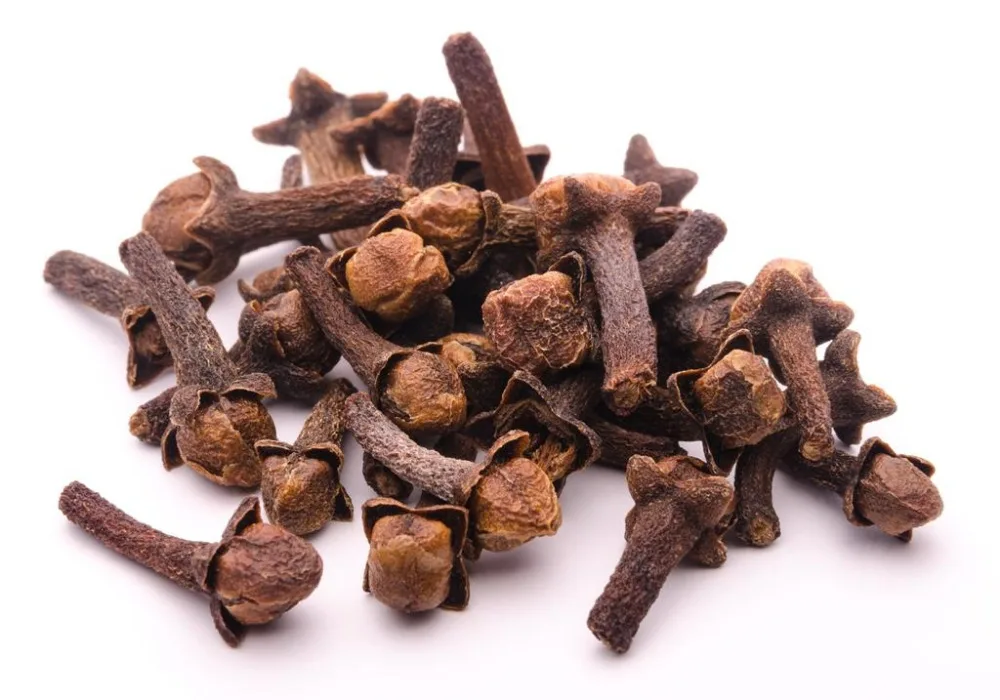 Wholesale Best Quality Cloves Stem Spices For Sale In Cheap Price