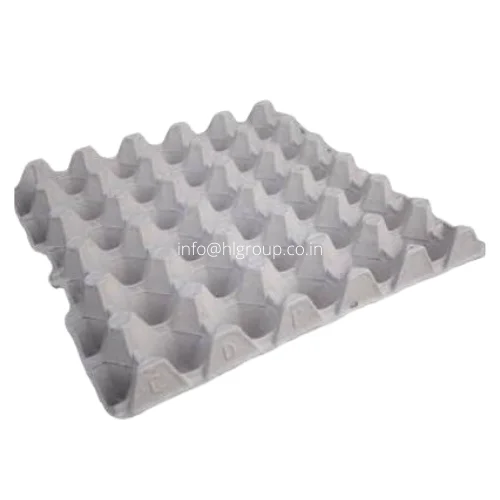 Commercial Transport Paper Egg Tray from Indian Market