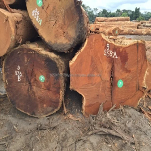 Chenchen Wood (Antiaris Africana) Square And Round Logs