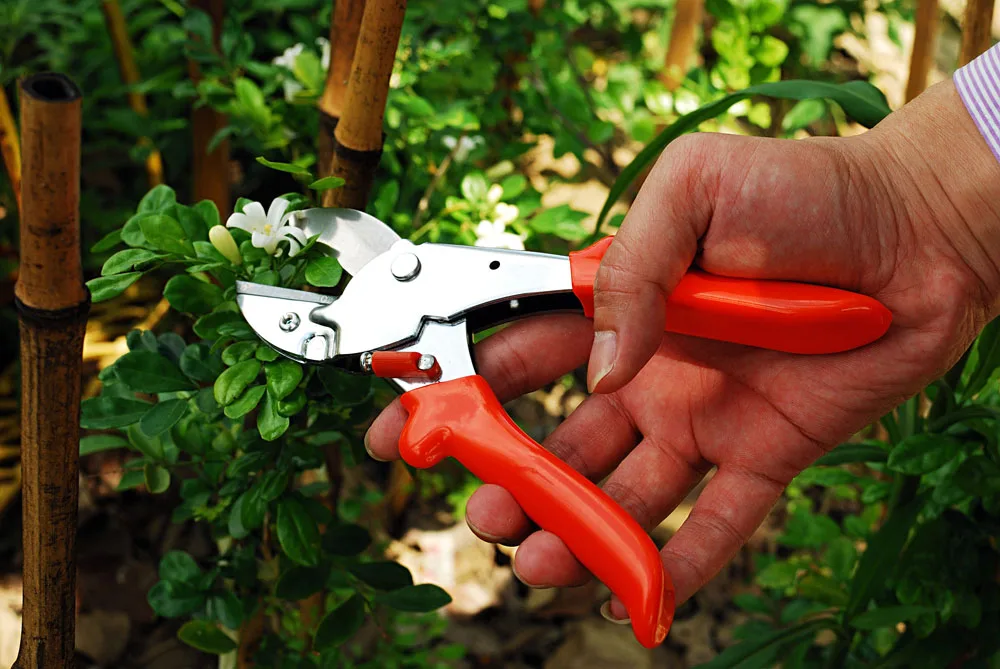 Garden High Performance Steel Anvil Pruning Shears