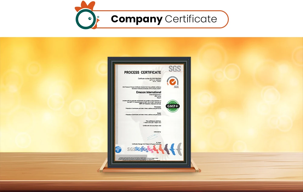 certificate.jpg