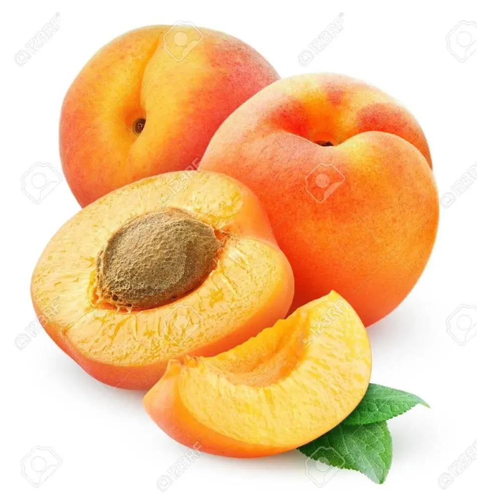 
Cheap Price Natural Fresh Apricot 
