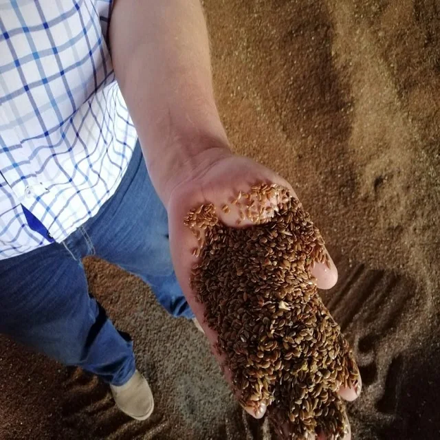 Millet And Flax Seeds