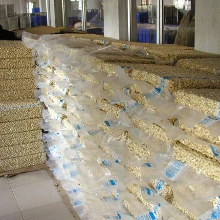 Cashew Nuts /High Quality Cashew /African Origin