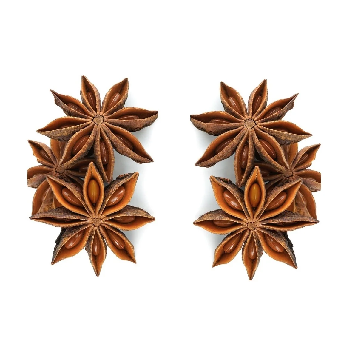 Bulk Selling Natural Brown Dried Style Raw Processing Whole Star Anise Collected for Craft Highest Quality