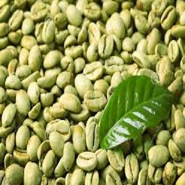 Pure green coffee beans arabica with 24 months self life high grade product for sale in wholesale price