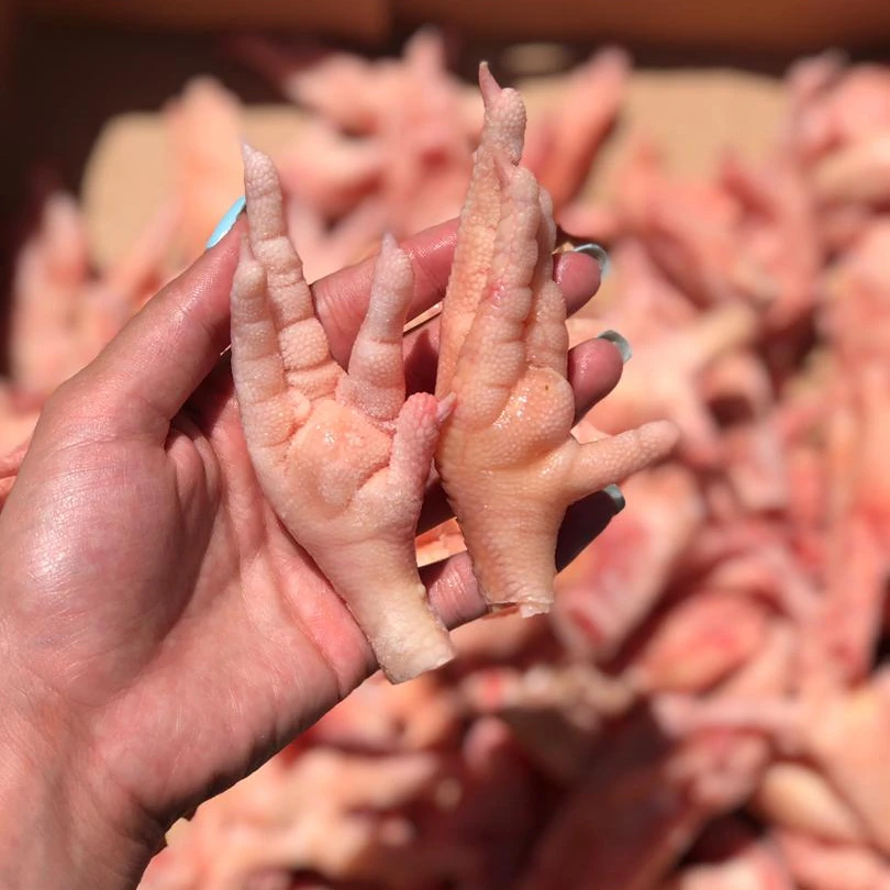 
Chicken feet chicken frozen chicken paw with the best price 2021 