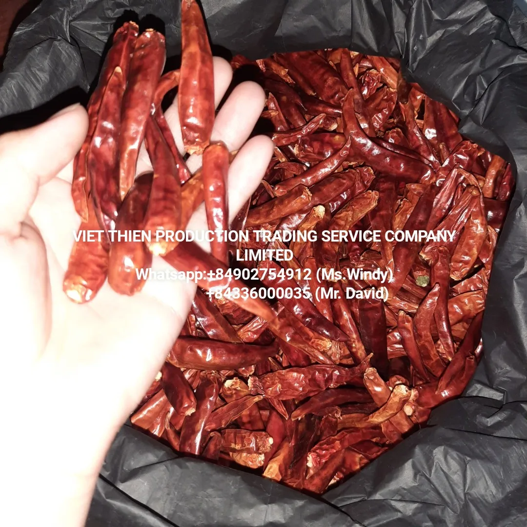 Dried red chili with wholesale price and meet standard export and available in stock in Binh Dinh Vietnam used as spices