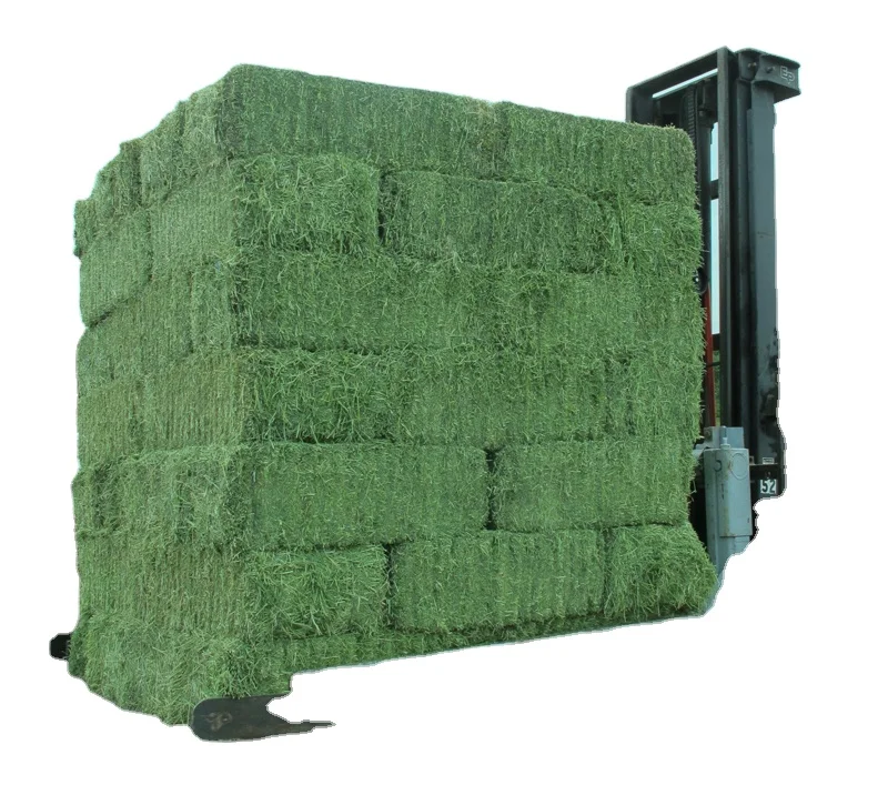 Alfafa Hay Animal Feeding Stuff Alfalfa hay/alfalfa hay pellets Timothy Hay/ in Bales Best Super Top