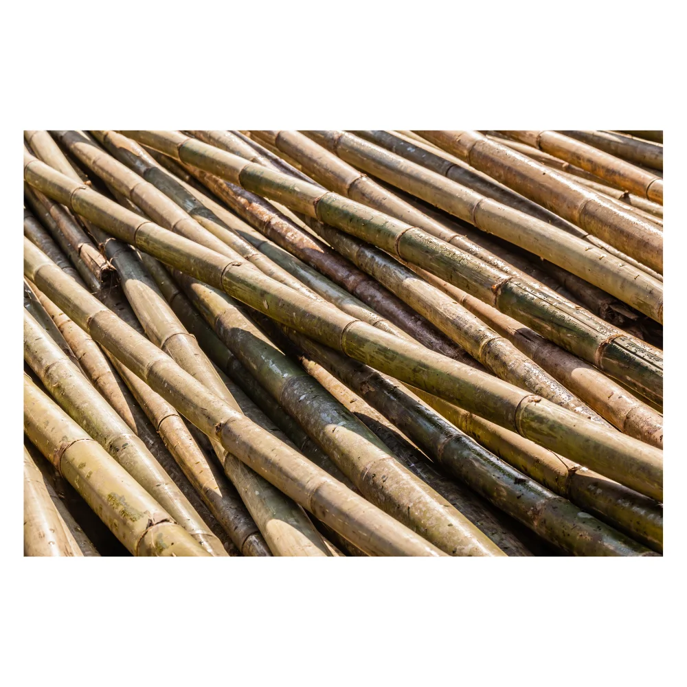 Прочные и универсальные бамбуковые трости палочки