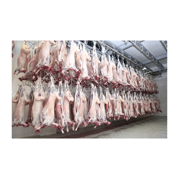 Environmentally friendly product sheep meat lamb light red hue fat is white which indicates a young age of the animal food