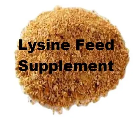 
L Lysine Veterinary Livestock Animals Feed Additives Low Price Suppliers 