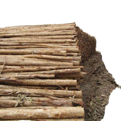 VARIOUS DIAMETER AND LENGTH EUCALYPTUS LOGS FOR SALE