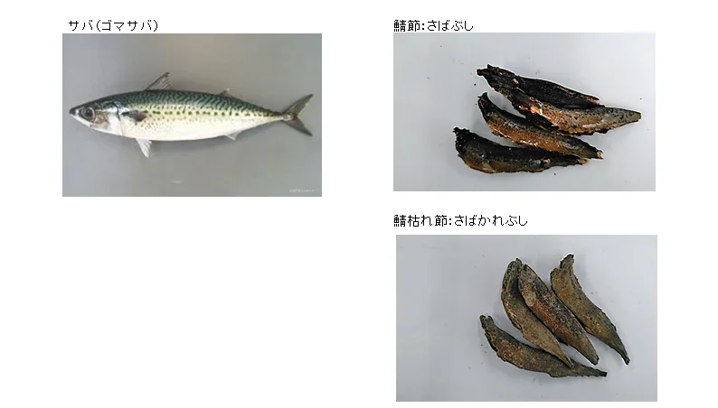Popular Flavor dried bonito and mackerel flakes mix  good for Japanese ramen soup ang misoshiru 1kg 5kg 10kg