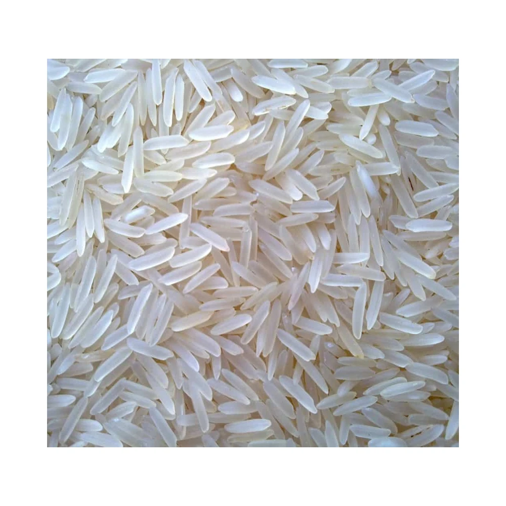 
High Quality Wholesale Price 1509 White Sella Basmati Rice at Low Price / 1509 Sella Basmati Rice 