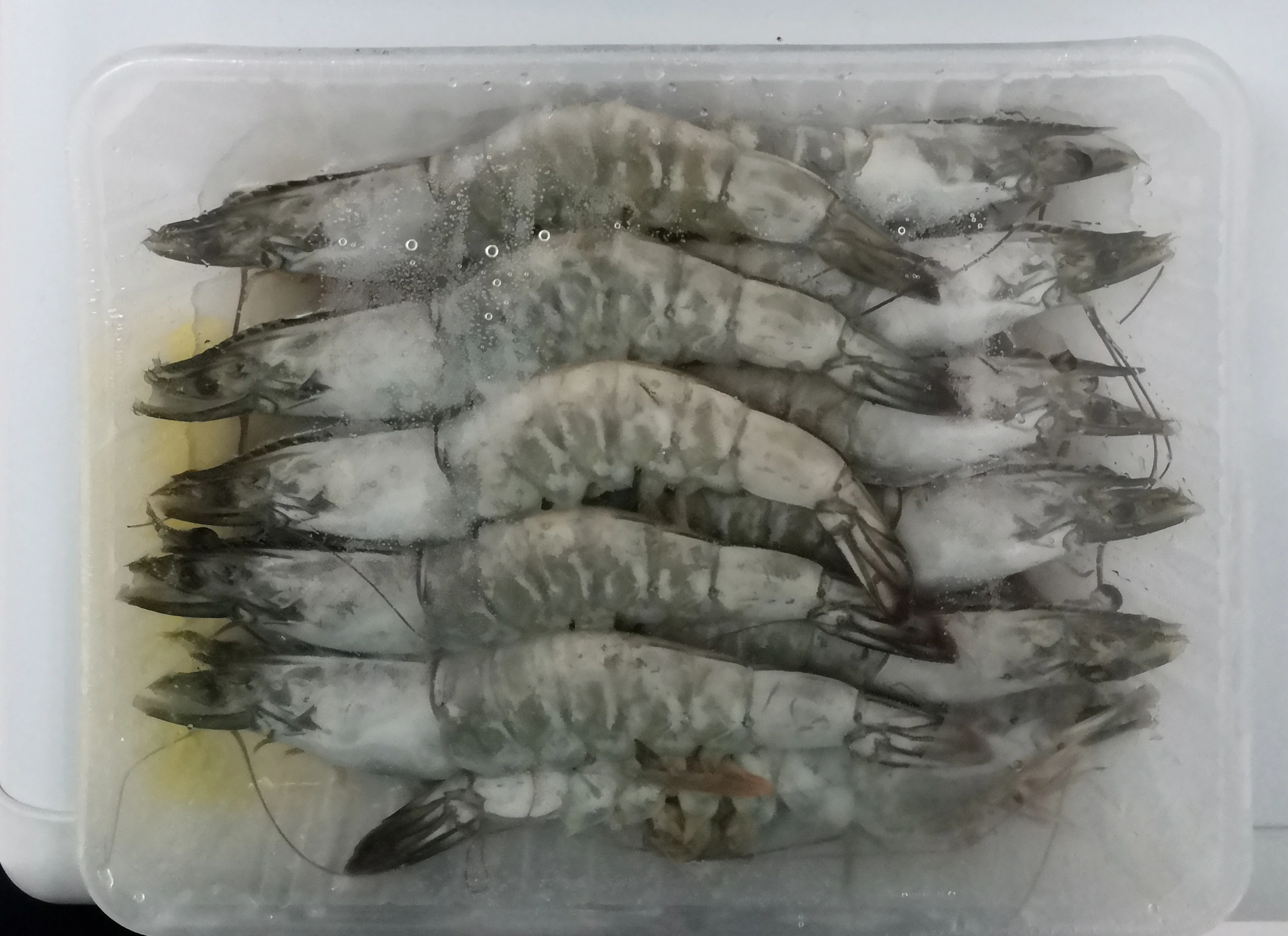 
18 Months Shelf Life IQF Freezing Process Whole Fresh Frozen Large Emerald Prawn 