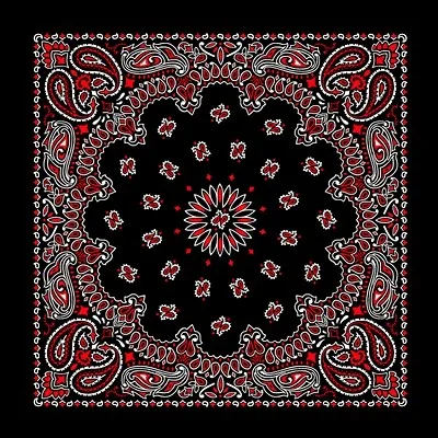 Fashionable Stylish Looking Bandana American Made Red and White on Black Western Paisley Bandana 22x22