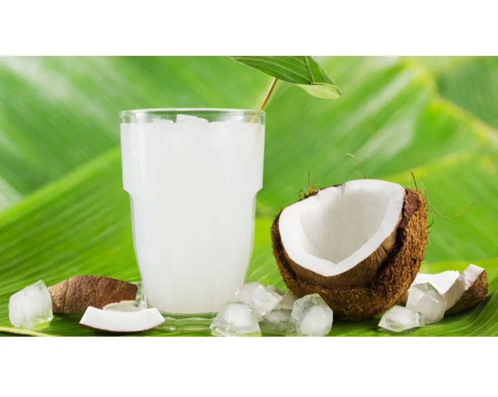  Vietnam top supplier high quality nata de
