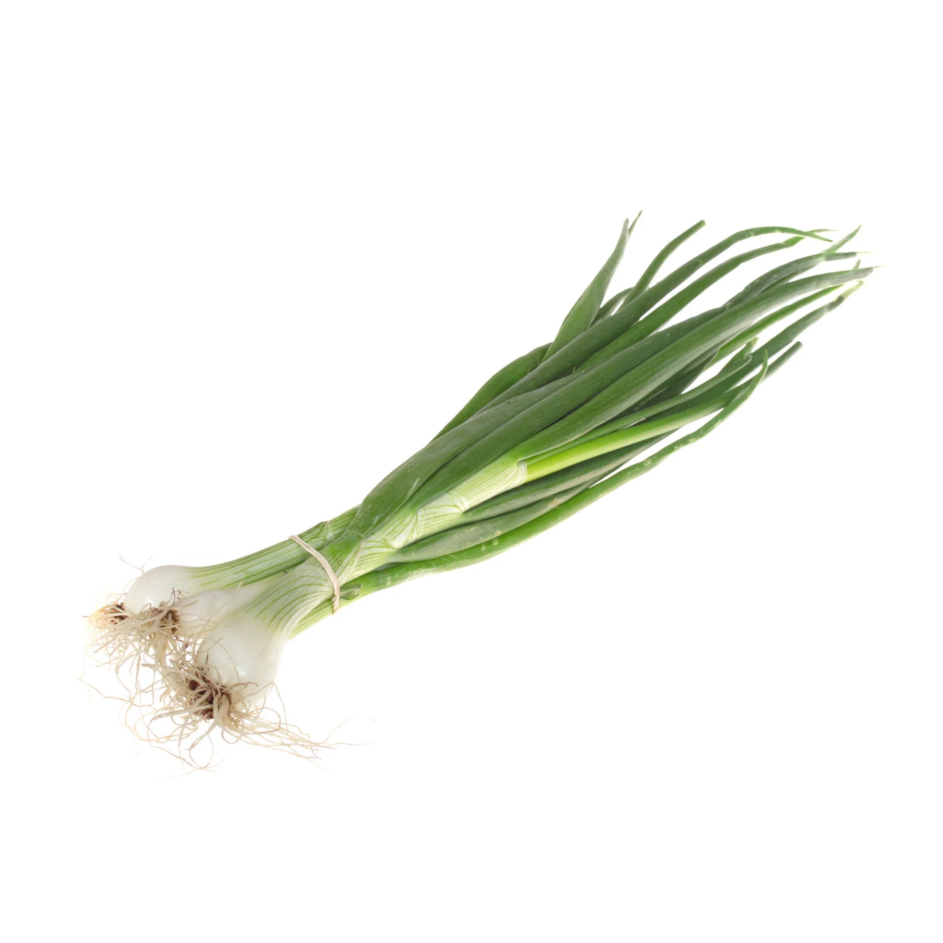 Chives- High quality