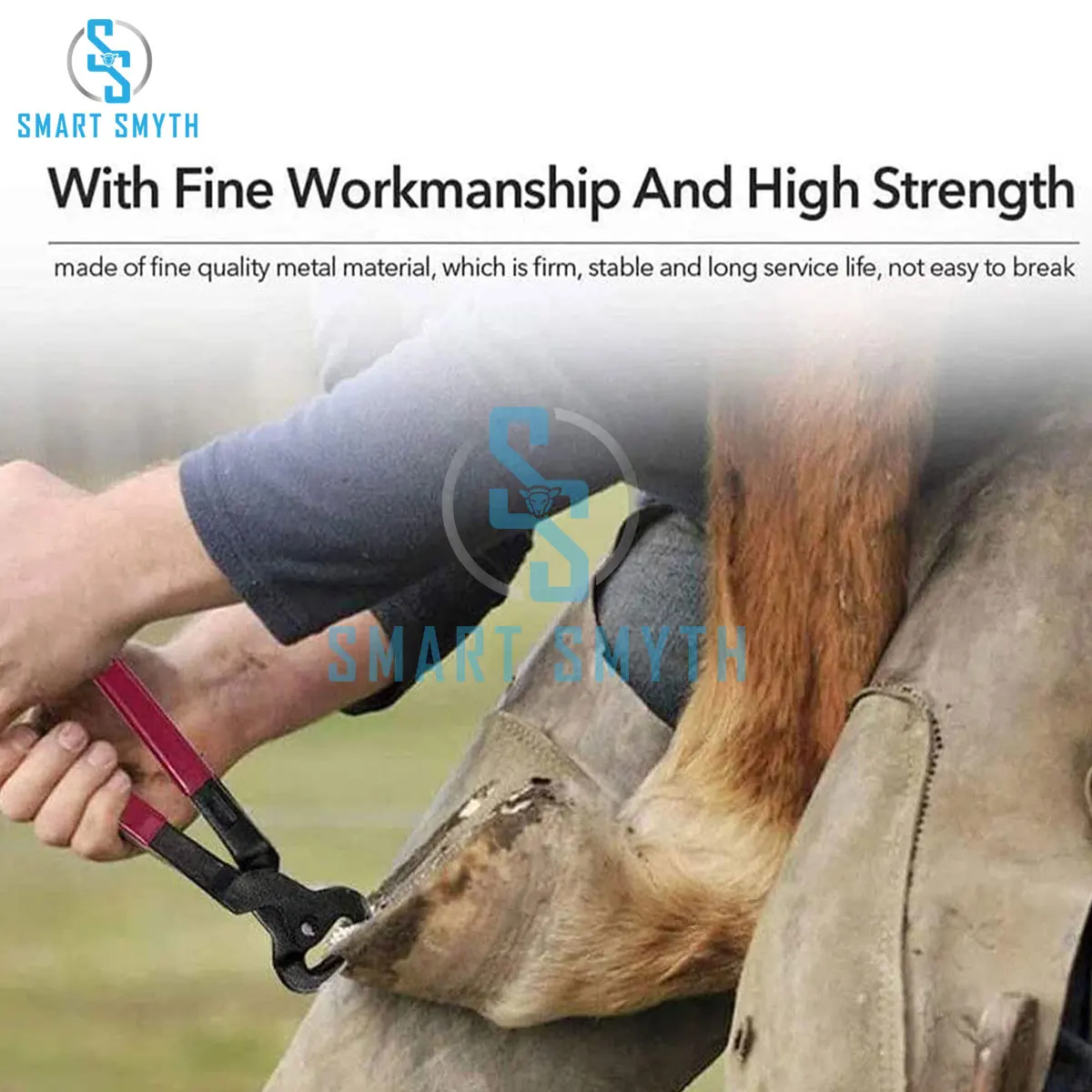 Horses Hoof Trimmers Tools Rasp Hoof Cutter Set Suitable for Hoof Trimming for Animals Veterinary Instruments