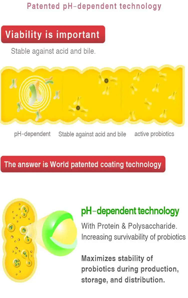 
Lyflor-3 High Potency 50 Billion CFU 12 strains probiotic powder for Improve Digestive Health 