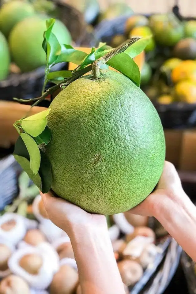 Pomelo, Fresh Green pomelo/Grapefruit From Vietnam Healthy Nutritious Supper Sweet red pomelo