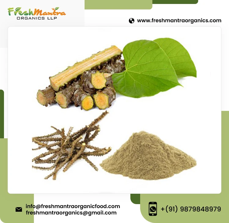 Guduchi & Giloy Herbal Powder Best For Healthy Immune System Natural Transport Cordifolia Guduchi, Gurjo, Heart-Leaved Moon seed