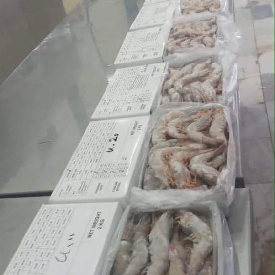 Тигровая креветка замороженная круглая черная оптом