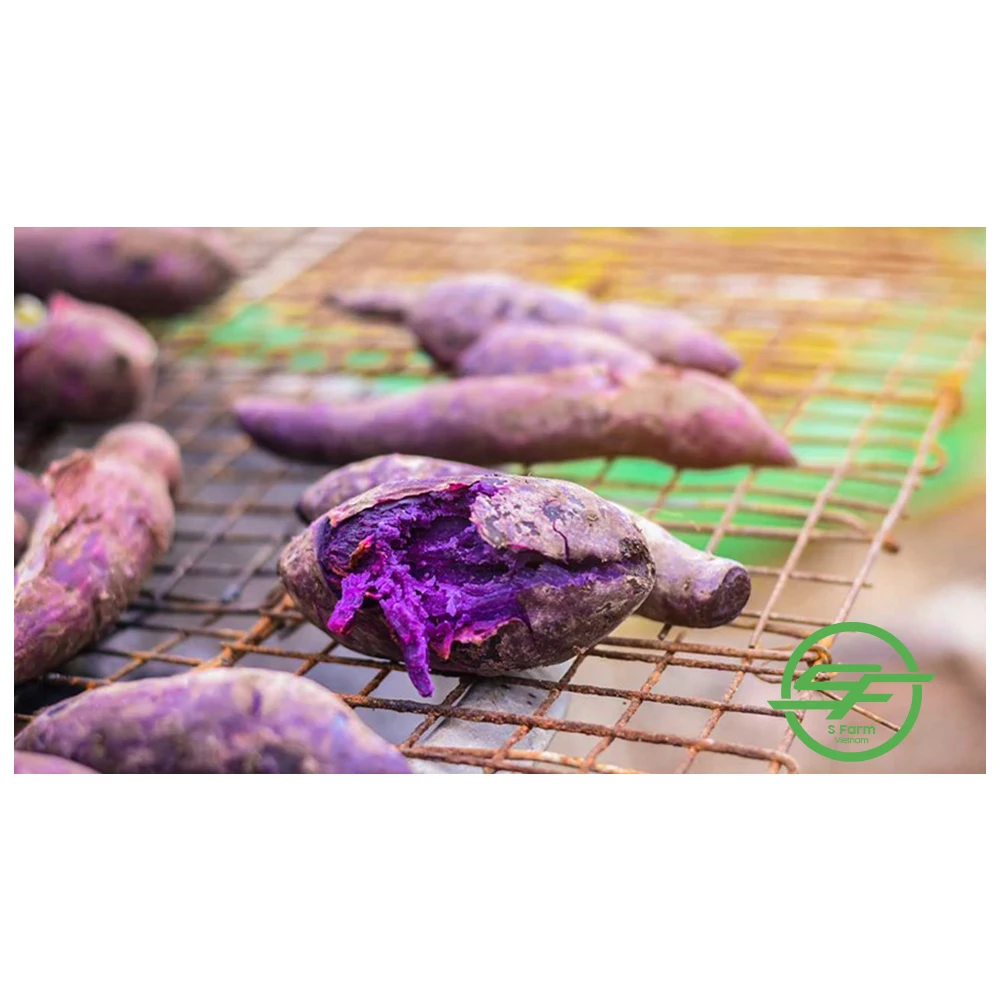 Высококачественный Экологически чистый фиолетовый свежий сладкий картофель из Вьетнама